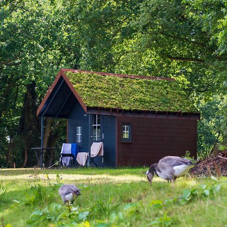 Fehnkate Lägenhet Papenburg Exteriör bild